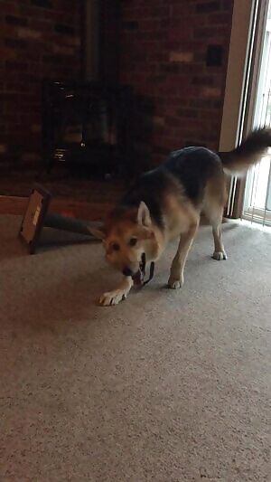 Wasn’t sure if the news said isolation or masturbation, so I did both just in case 😅