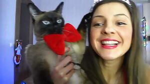 335 days until Christmas - Mr. Mittens ruins the Christmas show