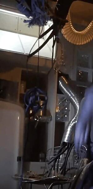 Diana Martin - Brazil