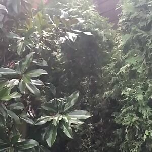 Ilana Glazer promoting her tour