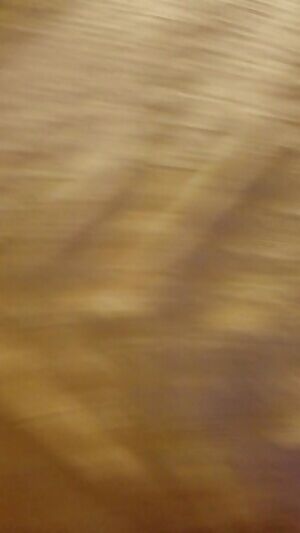 Showing off my girl before i fuck her.