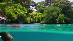 Sloths are good swimmers and they can reach speeds of 13.5 metres per minute. They use their long arms to paddle through the water and can cross rivers and swim between islands.