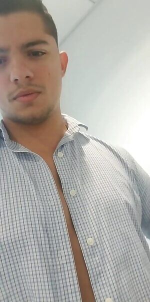 Wake up you filthy anial