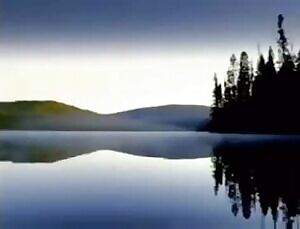 I can't believe this is how they sell butter....