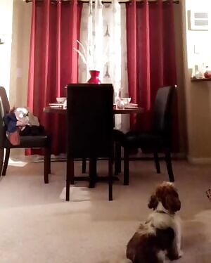 Gabby thicc 🍑🍑🍑