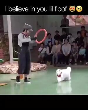 Boing!
