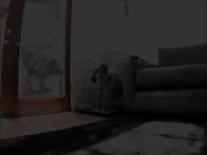 Fuck Sasha Grey - doggy style