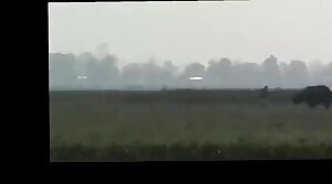 Rhino attacks and kills a man