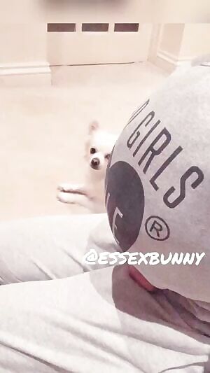 Essexbunny 10k Boobs