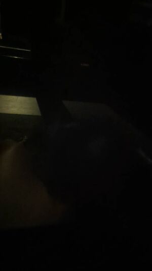 Canadian Cocks Cock Cum Cumshot Pulsating