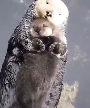 Me cuddling my sub like