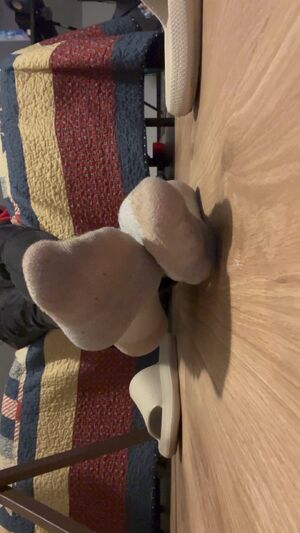 Ankle Socks Feet