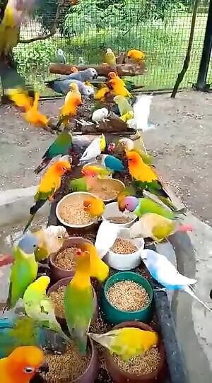 I need your help here...