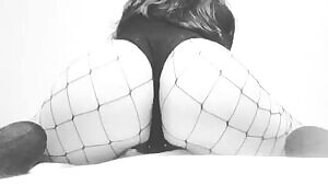 Phatty in Fishnets