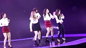 Red Velvet Irene Tights