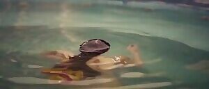 Aditi Rao Hydari Wet Saree