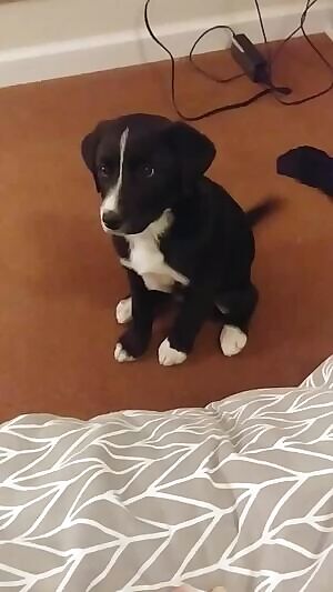 She's so distracting when I'm trying to make smut for you guys!