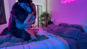 Furry NSFW OnlyFans