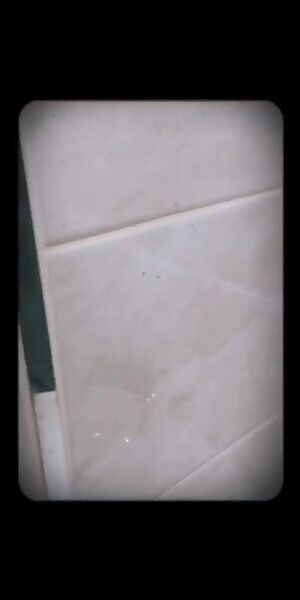 what do you think of me and my film? 29