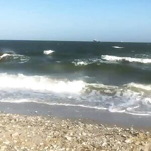 Barbadian/Native American/Slovak-Swiss/Irish