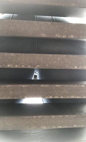 Are you surprised? 😝