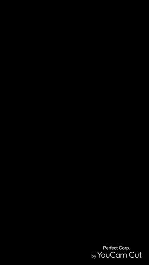 Crossdresser Butt Plug Crossdressing Thong