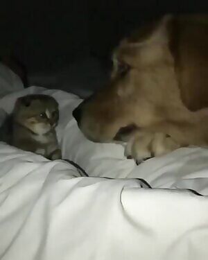 Well that didn’t turn out the way I was hoping