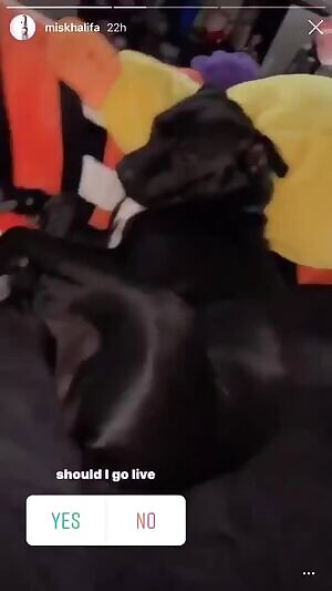 The numbers speak for themselves