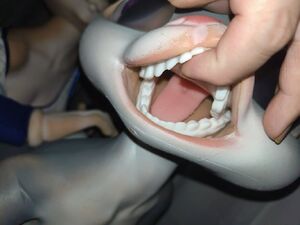 Realistic Love Dolls Furry Oral Sex Doll
