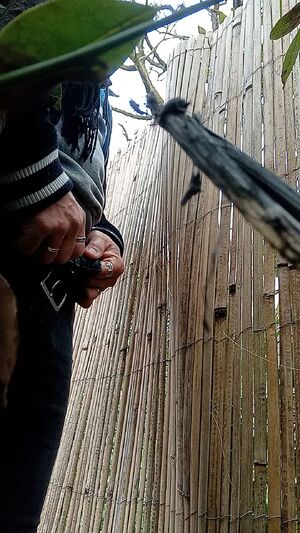 Gay Foreskin Play Amateur Peeing Uncut