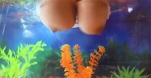 My favorite aquarium decorations