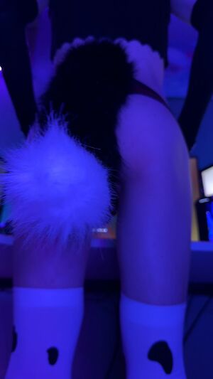 Solo Furries Anal Ass Asshole Chastity