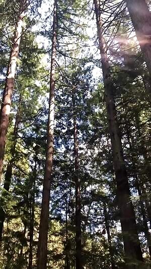 Nothin like pleasing my man while on a casual hike🥰😏