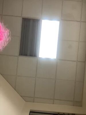 Belly Buttons Buttplug Plugged Trans Transexual