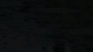 River Otter dining on a Snapping Turtle