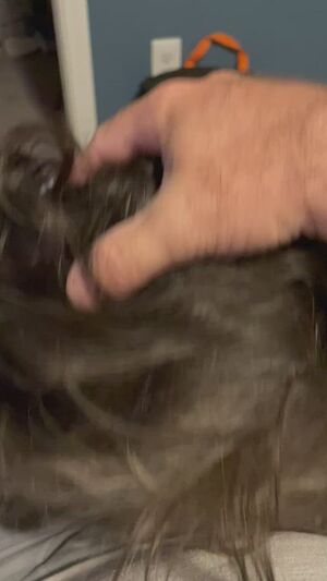 Indiana Girls Amateur Big Dick Blowjob