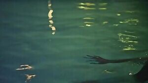 Emmy Rossum - Shameless