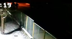 I love letting my man uck me from behind!