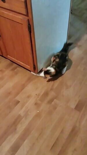 Don't leave your teenie weenies out lmao