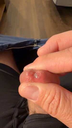 Precum Lovers Amateur Big Dick Cock