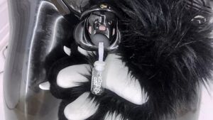 Furry BDSM Chastity Cum In Mouth