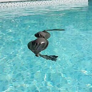 One of my favorite gifs