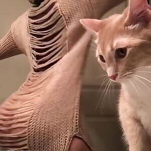 See, I WOULD post this to /r/aww, but...