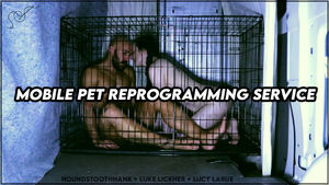 Petgirls BDSM