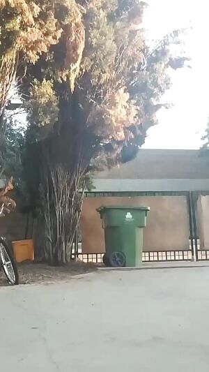 Nude Delivery from Athena