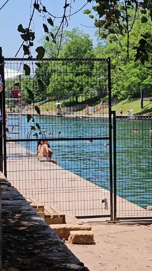 Bouncing Boobs Big Tits Pool Public