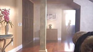 A Natural Order to the Home: Civilisation LLP's quick overview to adapting yourself and your cunts to your happiness.