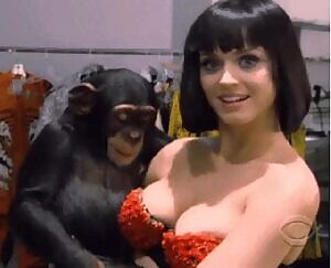 Passing the first test of human intelligence, Bobo the chimp identified Katy Perry as a cheap cumrag