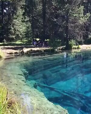 I couldn’t hold my cum at the dinner table 😬