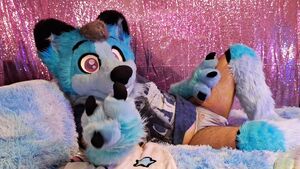 Furry Cute Male OnlyFans Solo